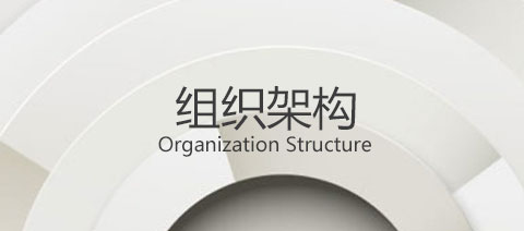 组织架构